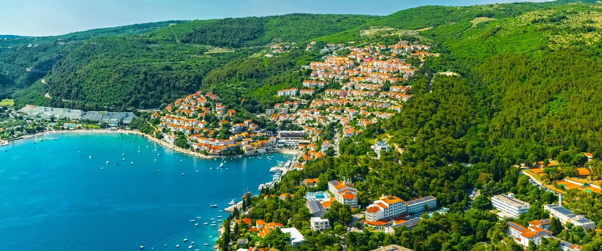A coastal town with buildings on a hillside, a bay with boats, and a forested area.
