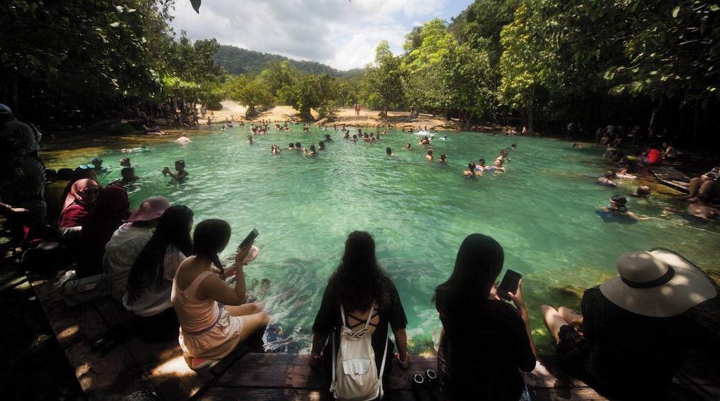 Emerald pool
Some 55km from Krabi town, enclosed within verdant forest,streams lead to the Emerald pool.
Get here very early , because the locals love it too.
#LikeALocal