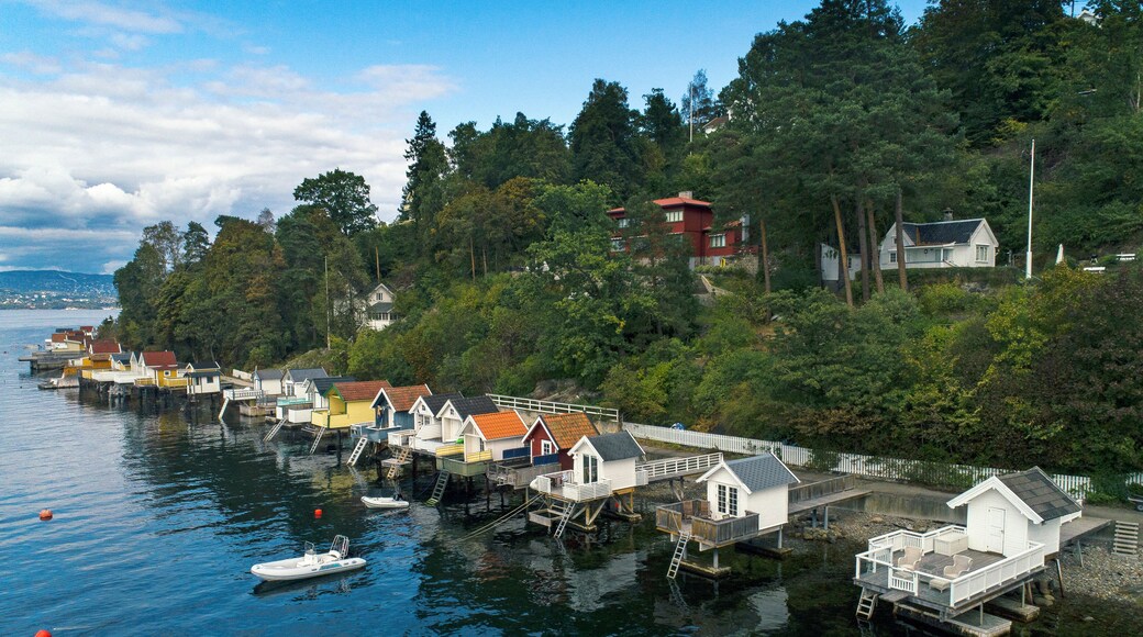 Nesoddtangen