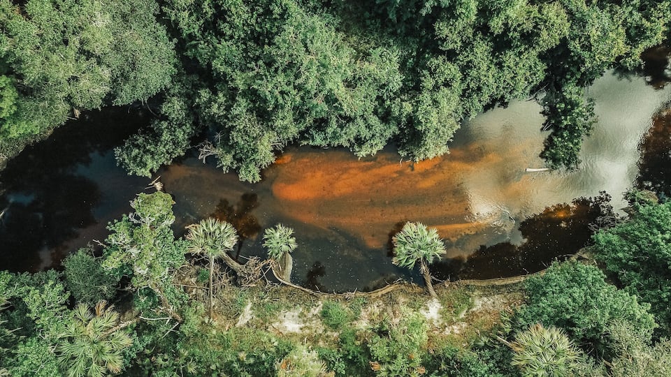 Aerial shot of Alafia River in Brandon, Tampa, Florida