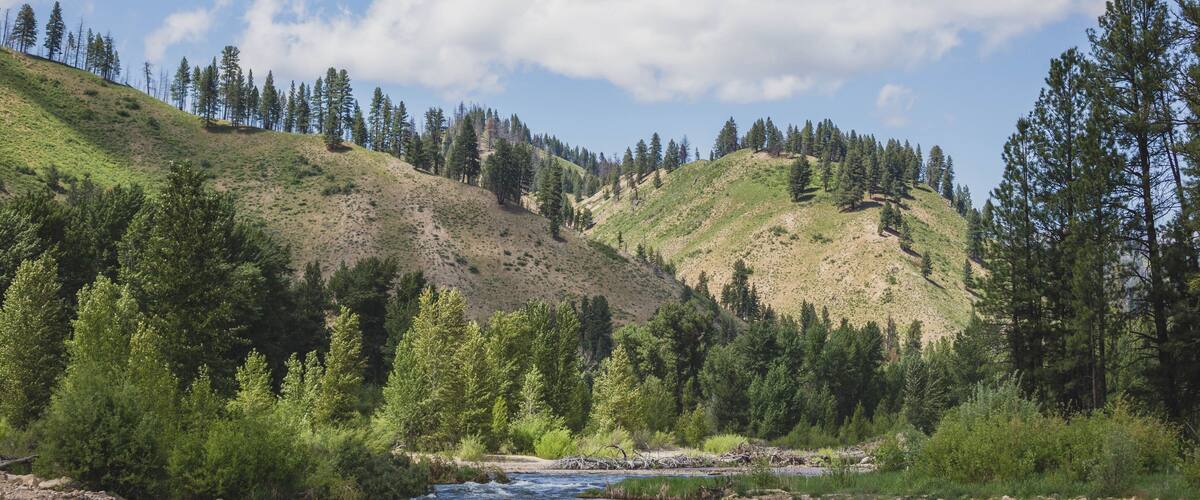 Boise River Summer Day