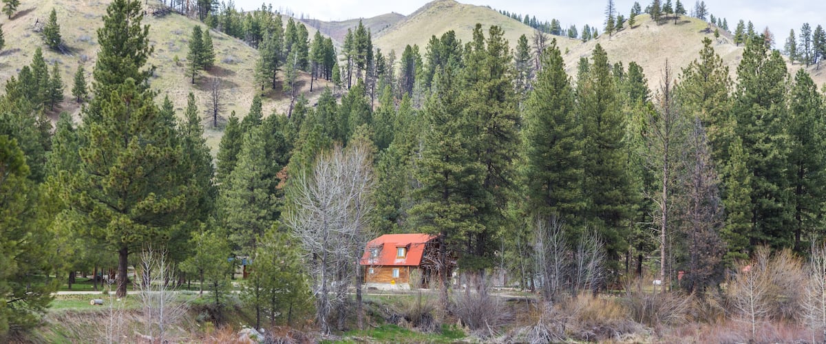A river flowing through a forest with a cabin on a hill.