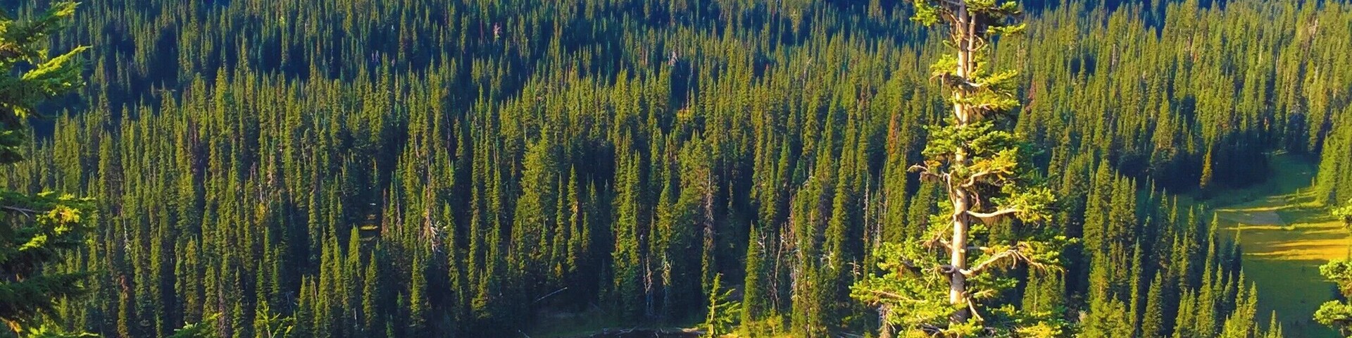 Scenic view at the Sunrise Visitors Center