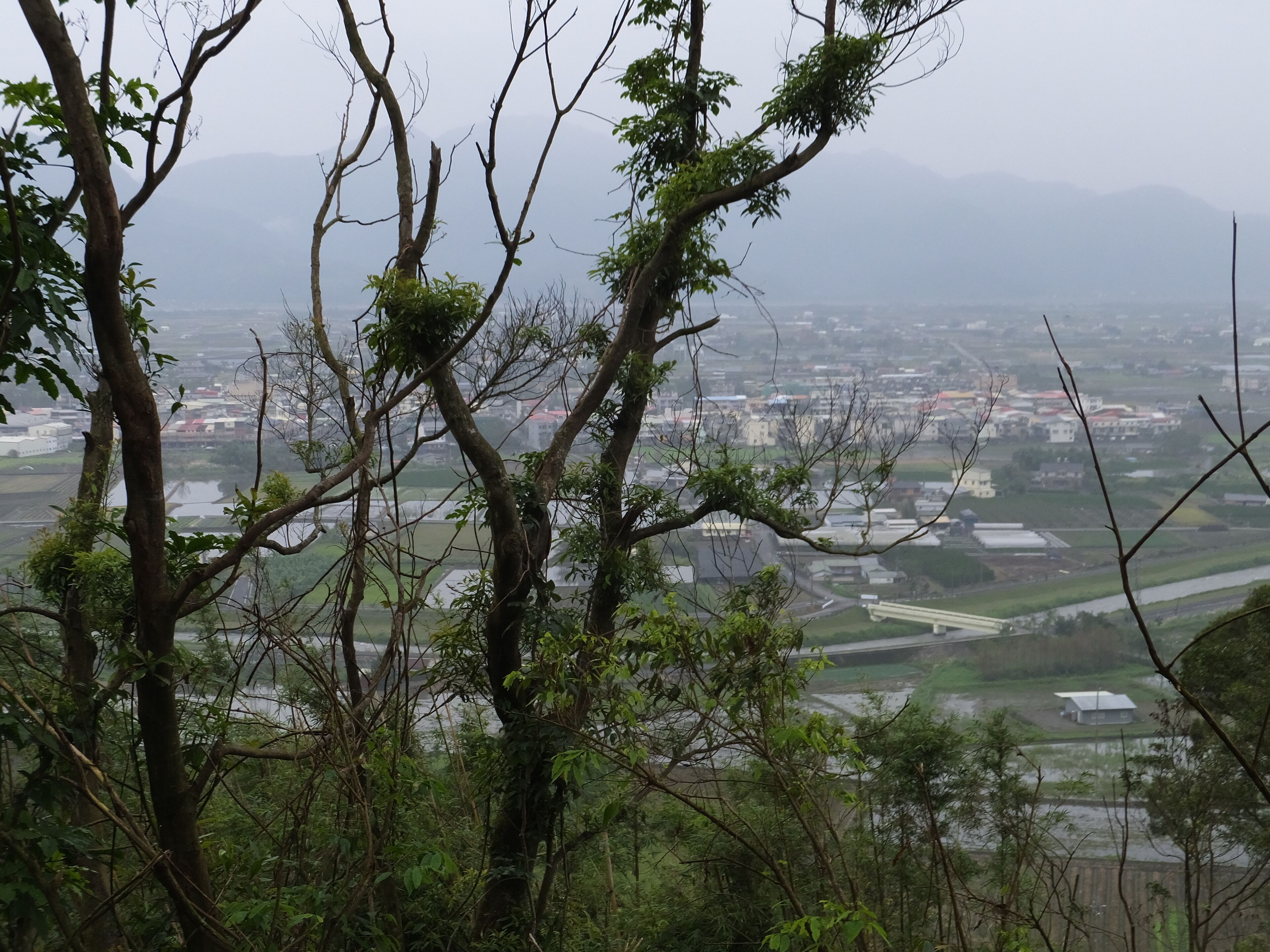 A mountainous landscape with dense foliage in the foreground and a cityscape in the background.