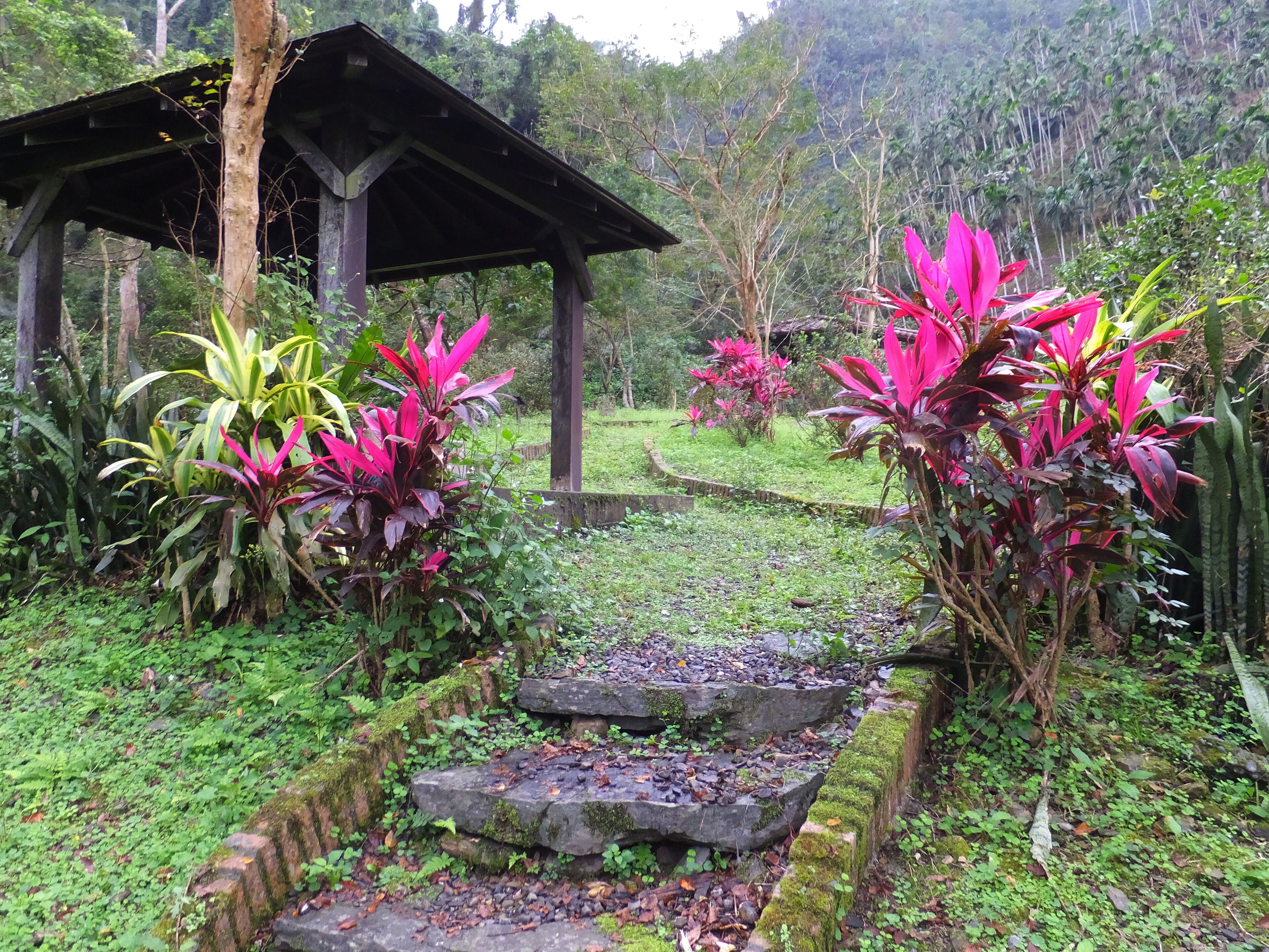龍泉步道 Longquan Trail