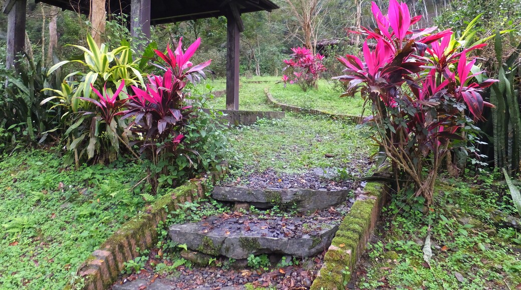 龍泉步道 Longquan Trail