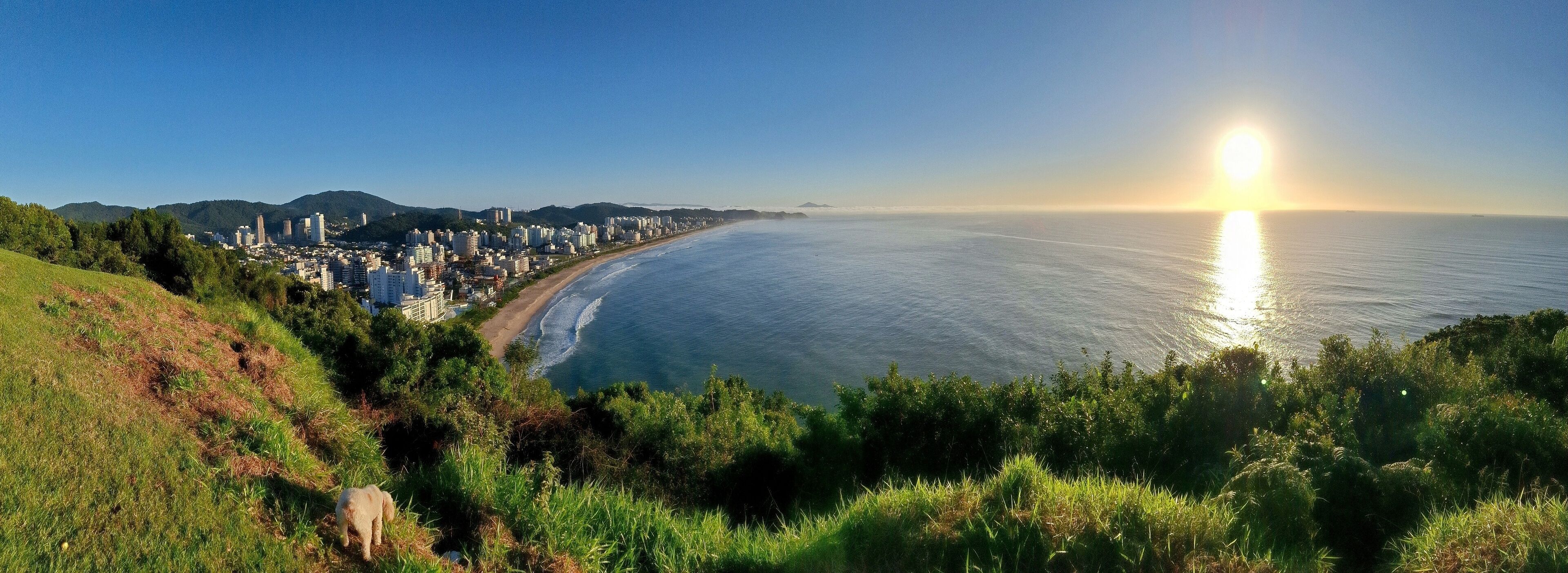 A coastal cityscape with a beach, mountains in the background, and a dog on a grassy hill.