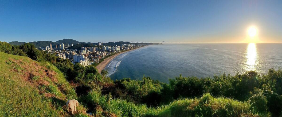 A coastal cityscape with a beach, mountains in the background, and a dog on a grassy hill.