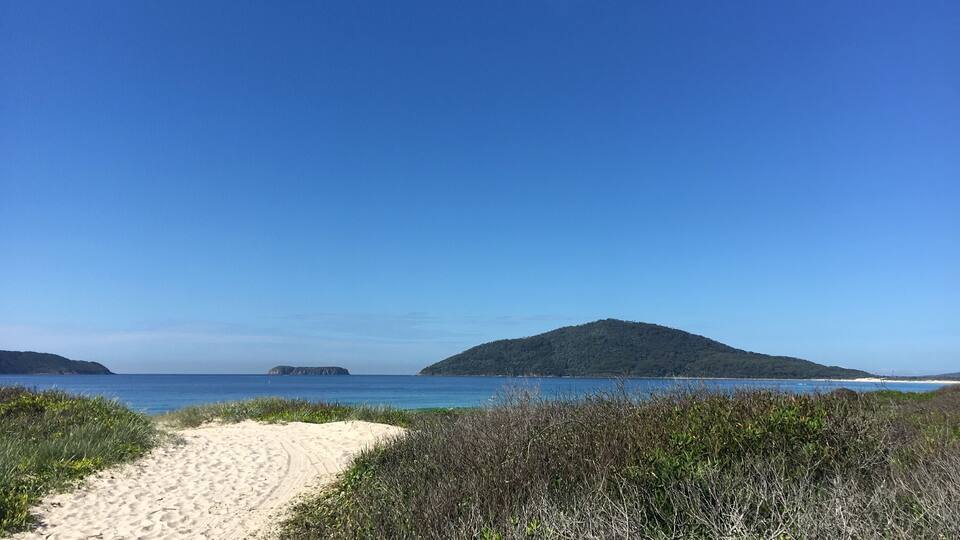 A sandy beach with a clear blue sky, a small island in the distance, and dense vegetation in the foreground.