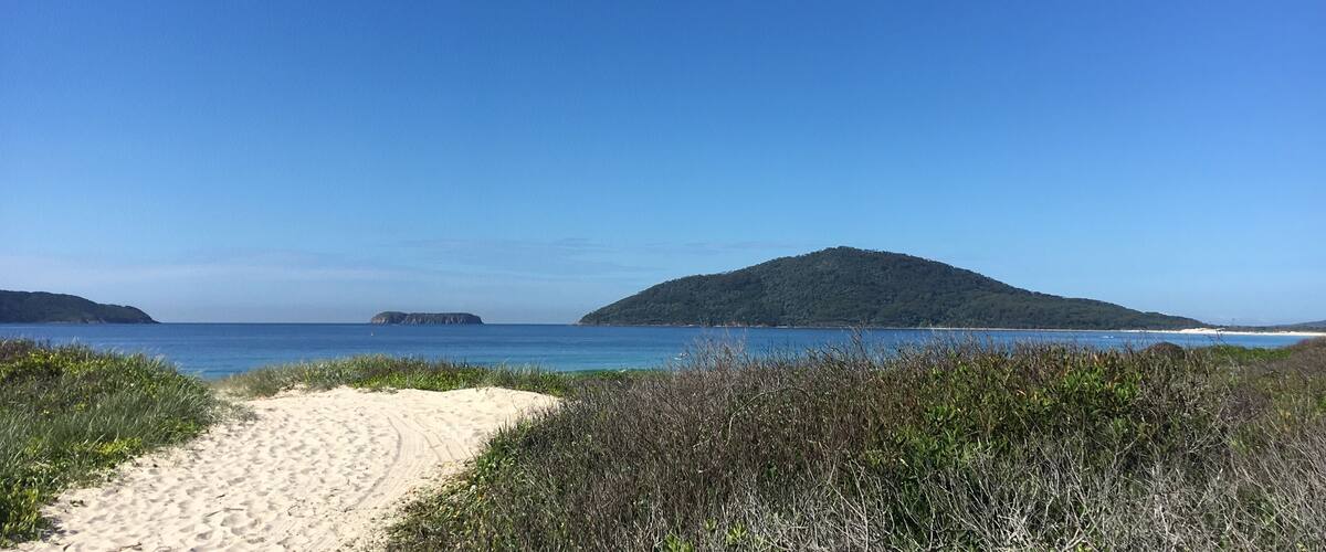 A sandy beach with a clear blue sky, a small island in the distance, and dense vegetation in the foreground.