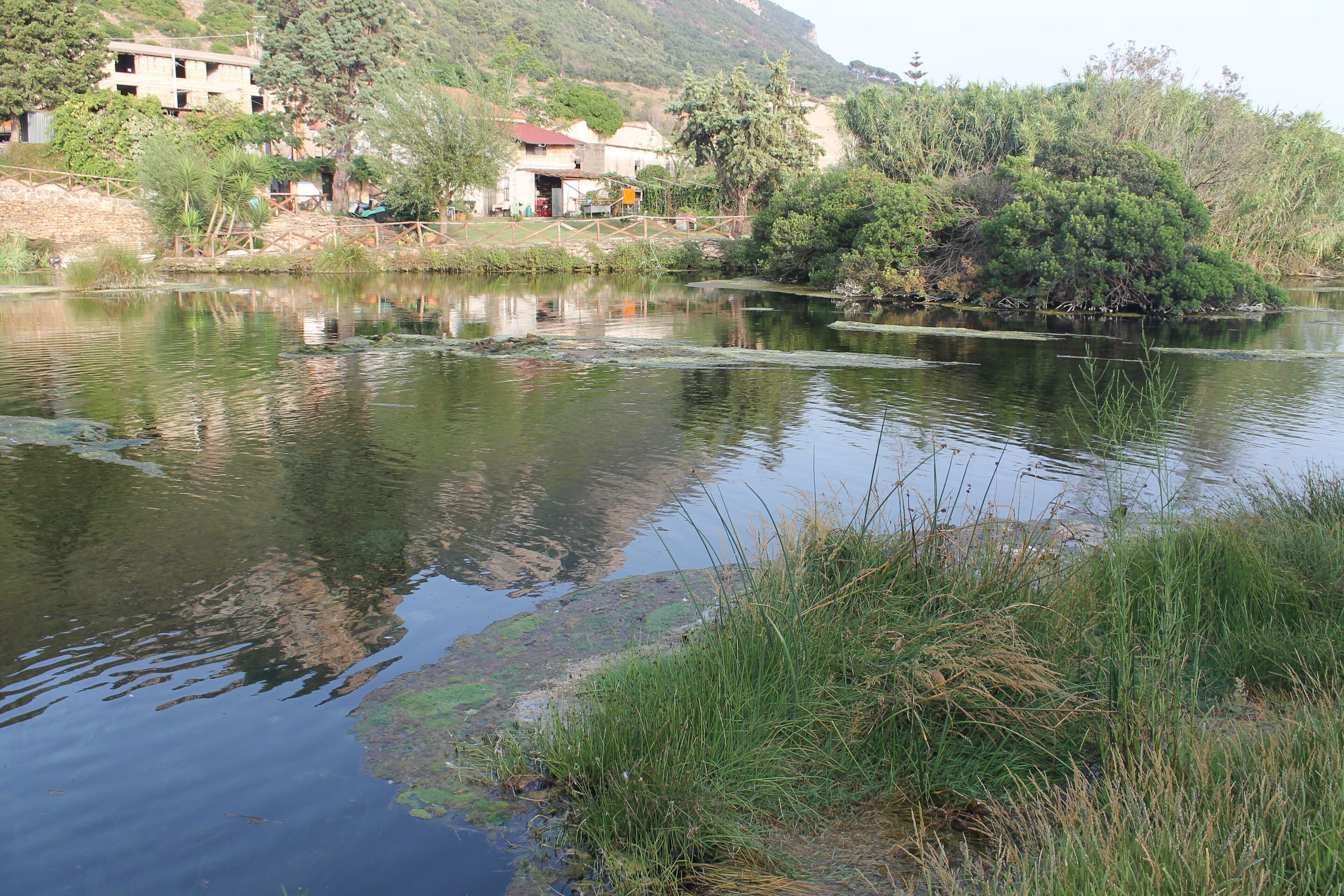 Un río tranquilo con reflejos de edificios y árboles, rodeado de vegetación y una pequeña isla.