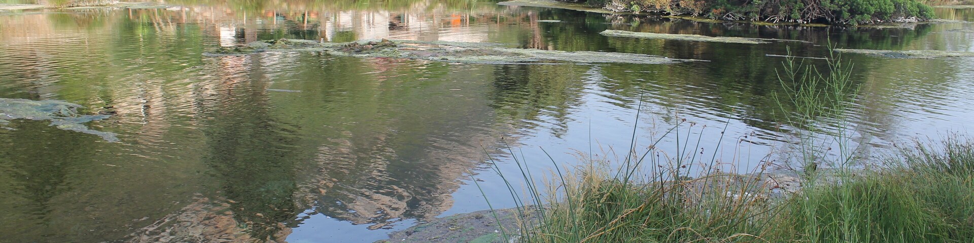 Un río tranquilo con reflejos de edificios y árboles, rodeado de vegetación y una pequeña isla.