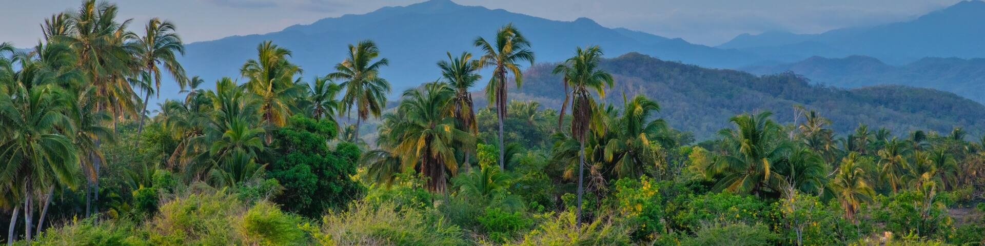 The unique landscapes you will see when you drive to Costalegre, Cabo Corrientes and Barra de Navidad