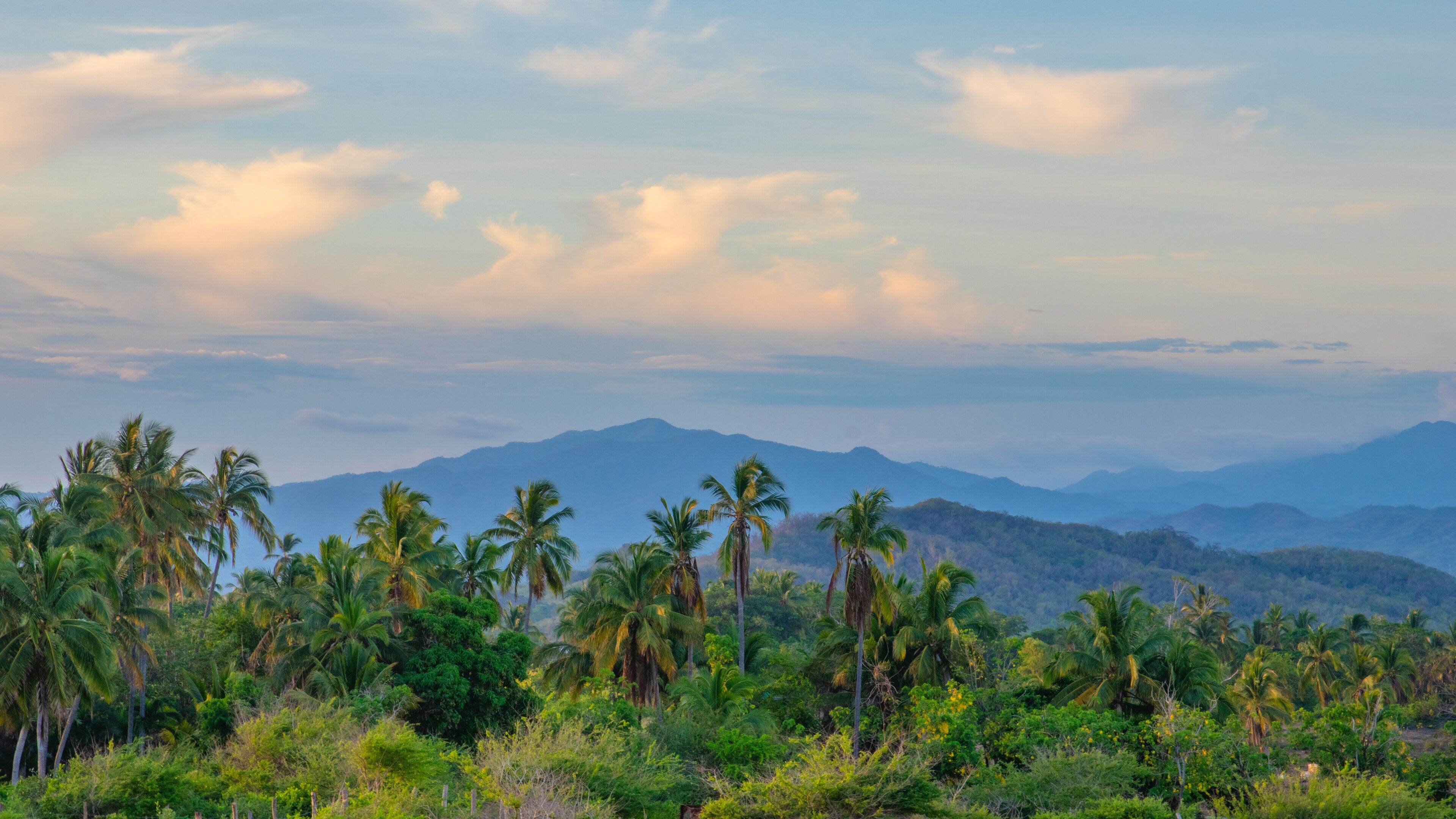 A tropical landscape with palm trees and mountains in the background.
