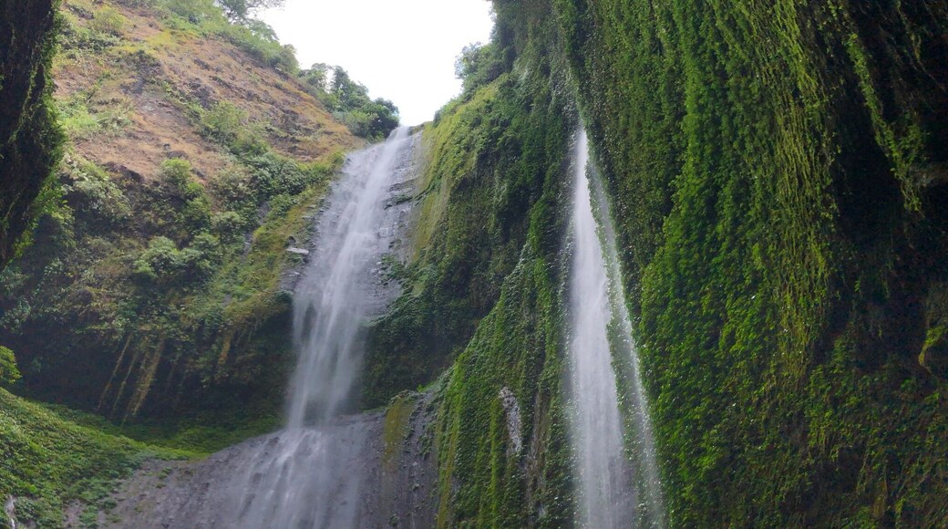 Simply breathtaking view here