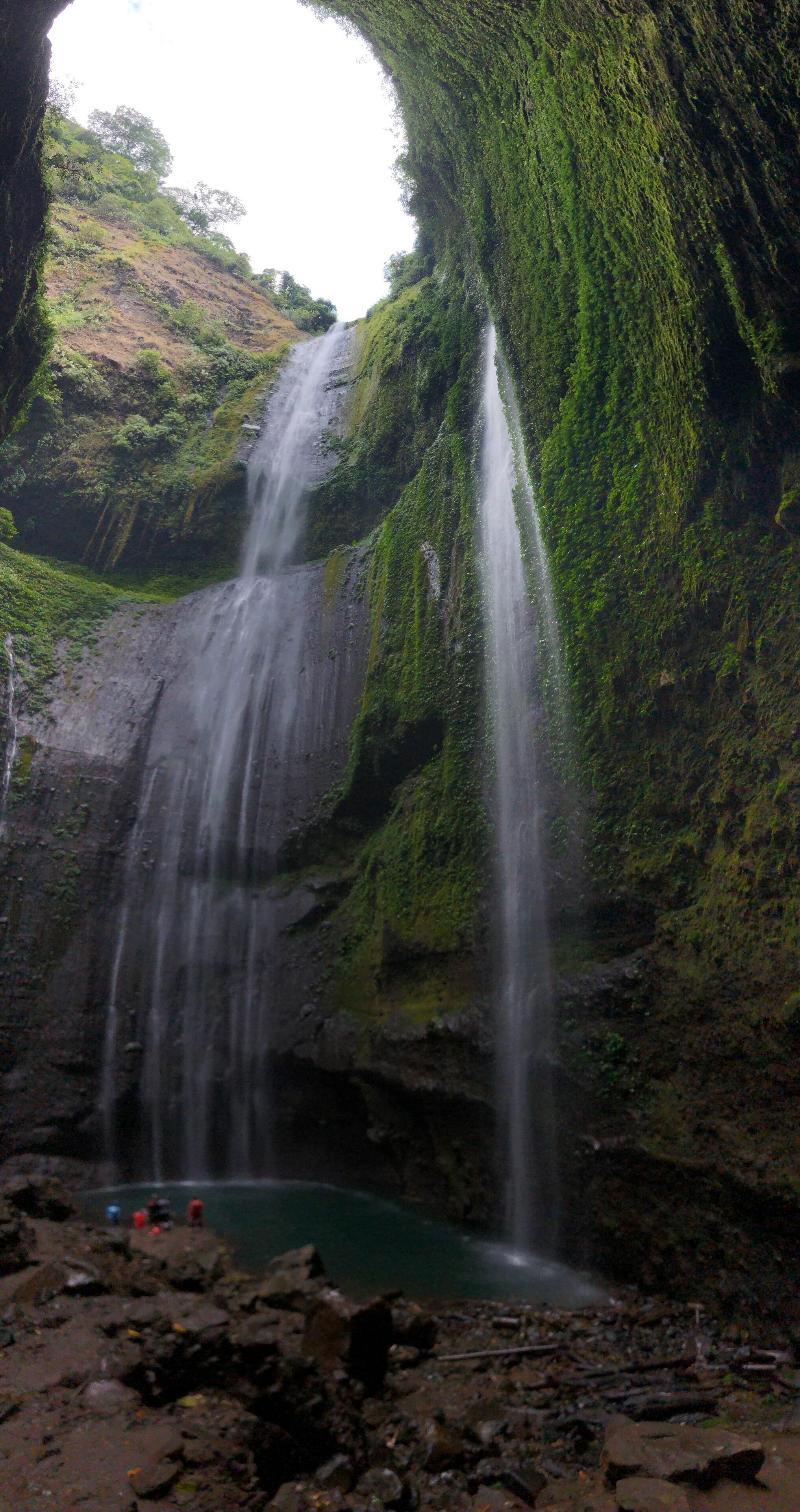 A waterfall cascading down a moss-covered cliff into a pool.