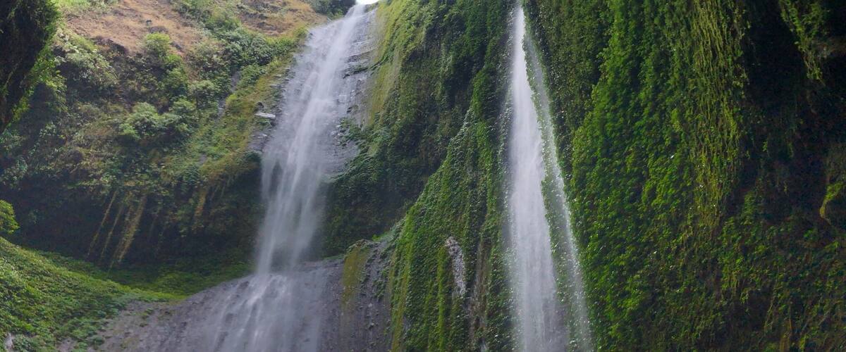 A waterfall cascading down a moss-covered cliff into a pool.