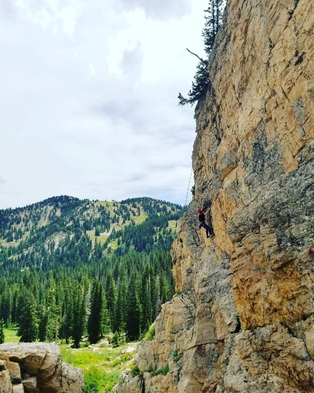 A person rappelling down a rocky cliff with a forested mountain in the background.
