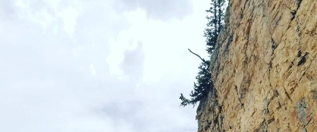 A person rappelling down a rocky cliff with a forested mountain in the background.