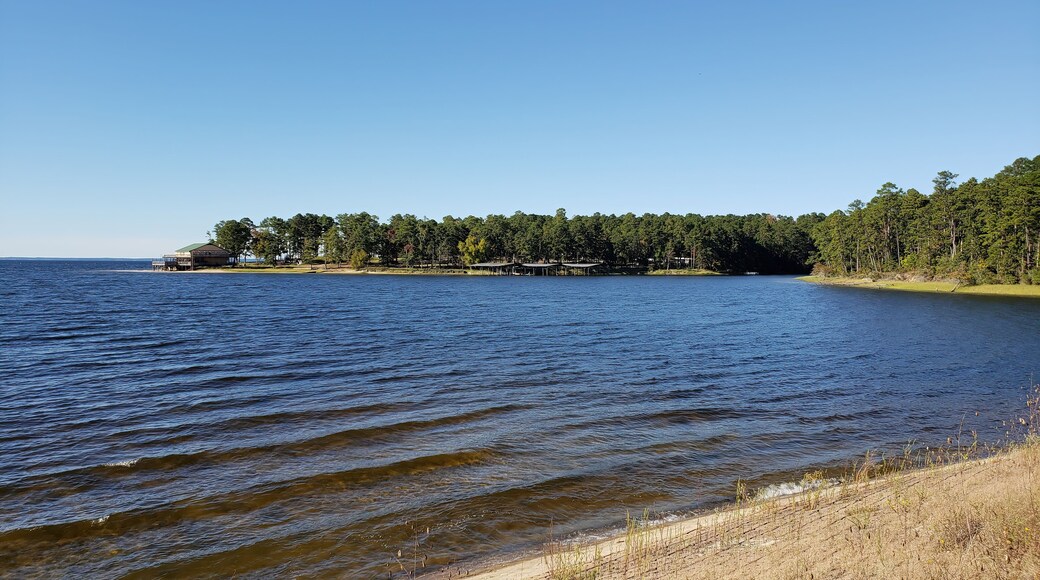 South Toledo Bend State Park