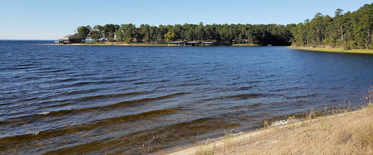 A lake with a sandy shore, a forested island, and a small building.