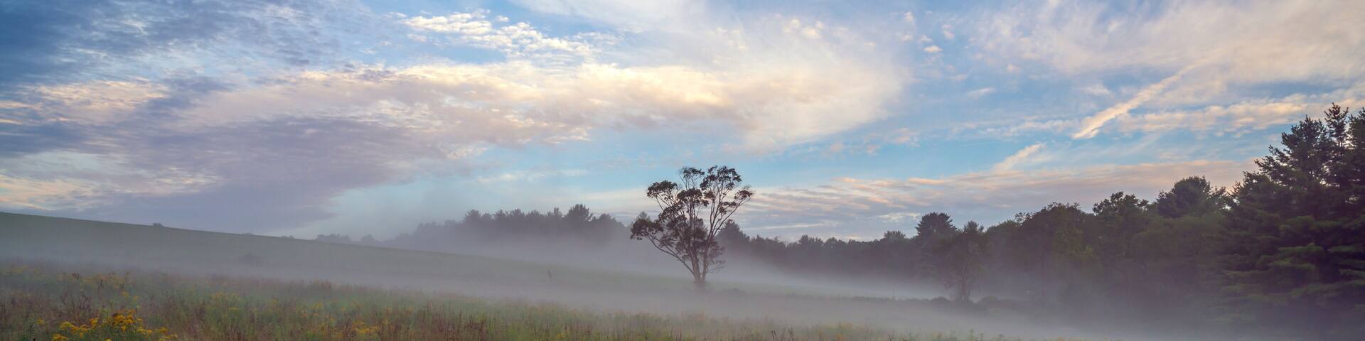 Upstate New York in Sullivan county in summer with fog on the meadow