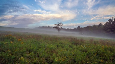 Upstate New York in Sullivan county in summer with fog on the meadow