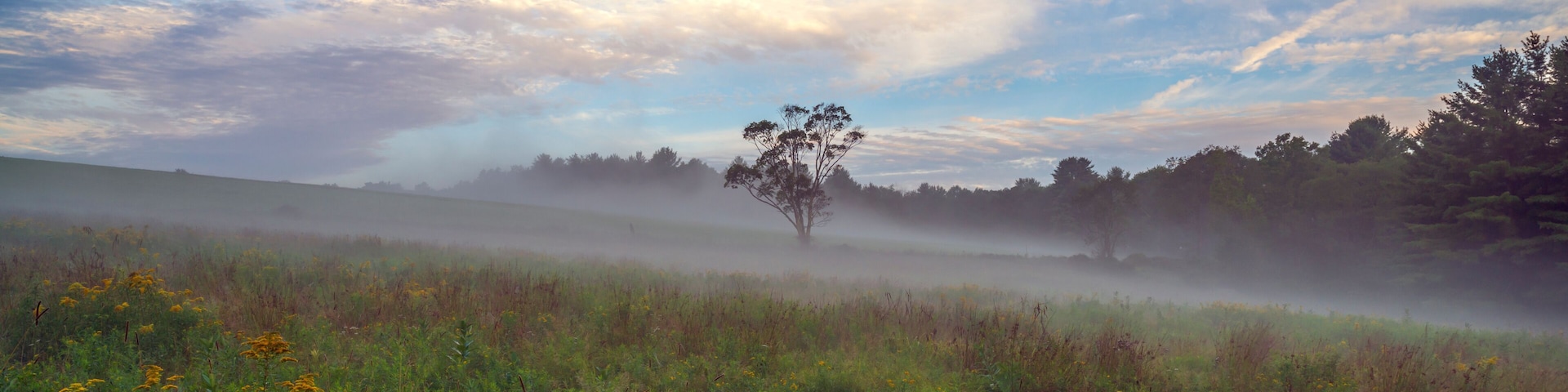 Upstate New York in Sullivan county in summer with fog on the meadow