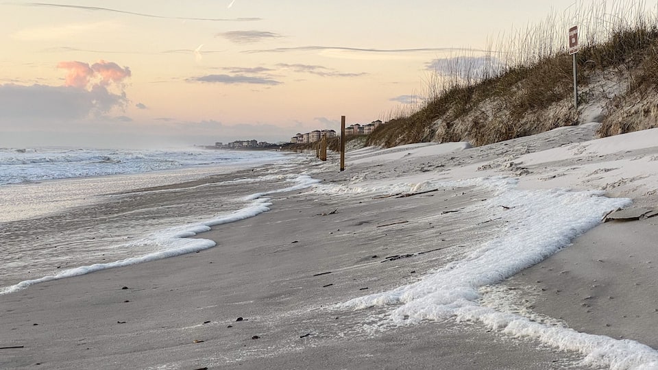 Sand Dunes on American Beach in Amelia Island at Sunrise