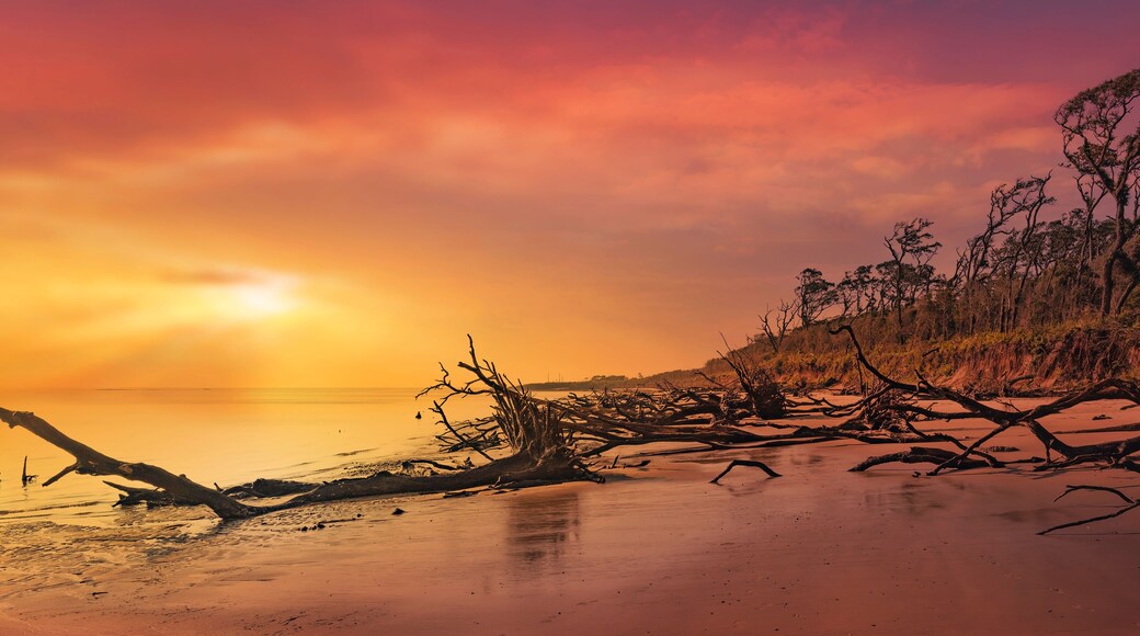 ์๋ฉ๋ฆฌ์นธ ๋น์น