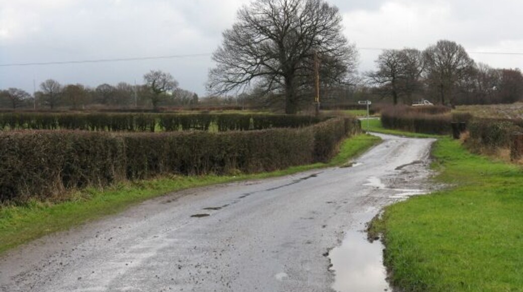 Deceptively Rural This muddy, rural lane is one of several back routes to Manchester's busy airport which is only a few hundred yards on the left.
