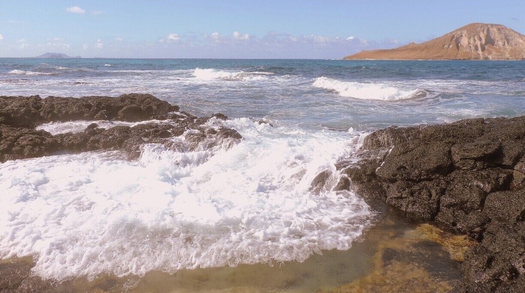 These tide pools were awesome! Walking on the rocks was tough barefoot, but it was so cool seeing all the little crabs scuttling around whenever the water came in!