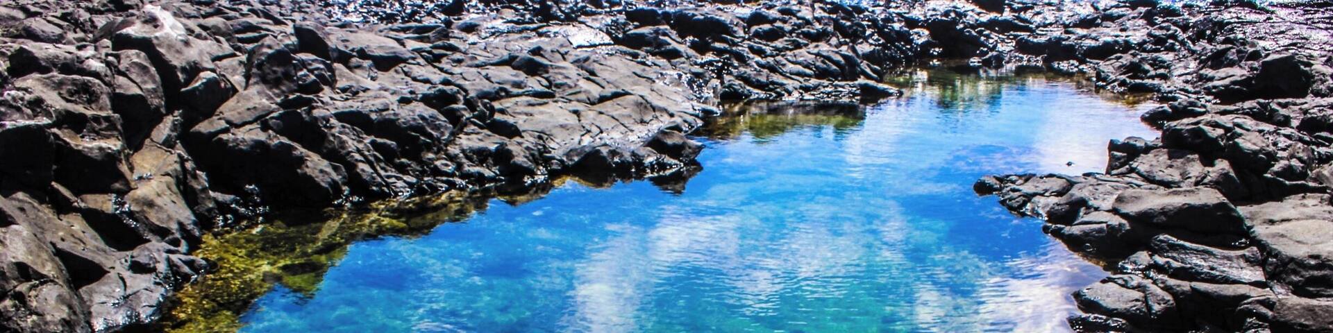 This is a very hard place to find if you do not know where to turn off the hike. To find this you'll need to hike Makapu'u Lighthouse, but will need to take a turn off the trail and down a cliff. This could be dangerous, so make sure that you go with someone experienced and to check the tide. If the tide is high, DO NOT GO because the waves will break into the tide pools and possibly sweep you in the ocean. The view is beautiful and you see many fish swimming in the tide pools.