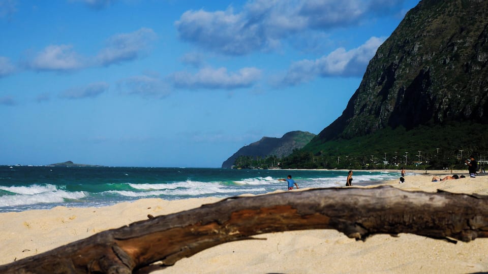 Ein Strand mit einem großen Baumstamm im Vordergrund, Wellen, die an das Ufer schlagen, und einer bergigen Landschaft im Hintergrund.