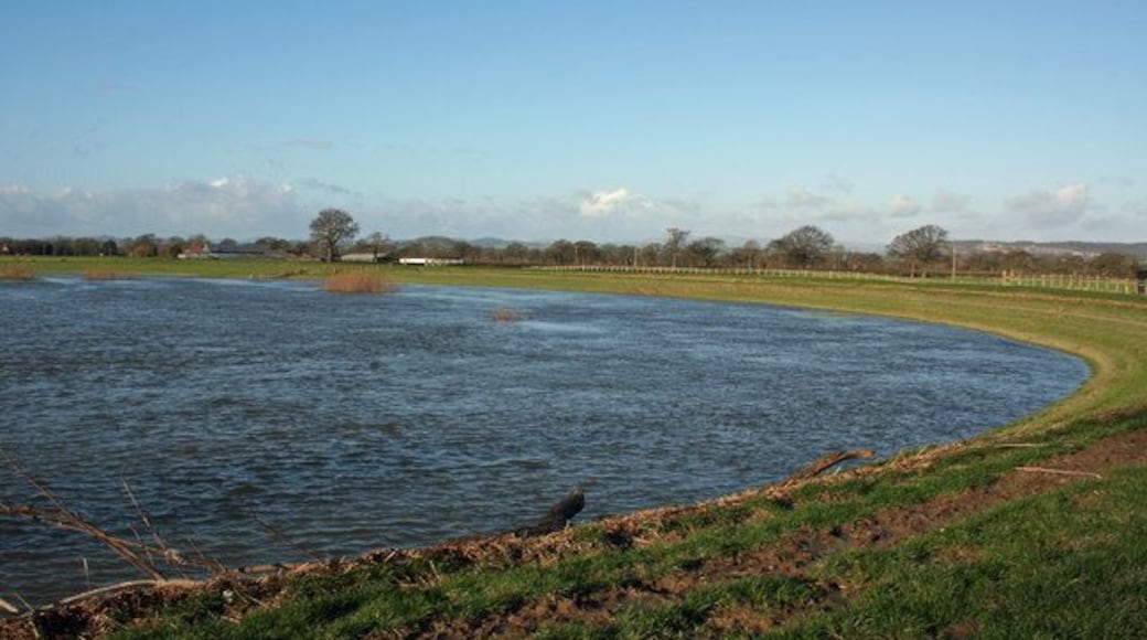 Wide Sweep Afon Hafren sweeps extensively into its flood plain embankment close to Llandrinio.