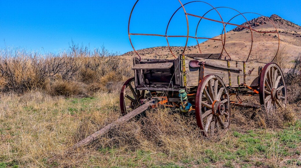 Old wagon standing with grace off National Back Country Byway ~ Highway 27 in NM.