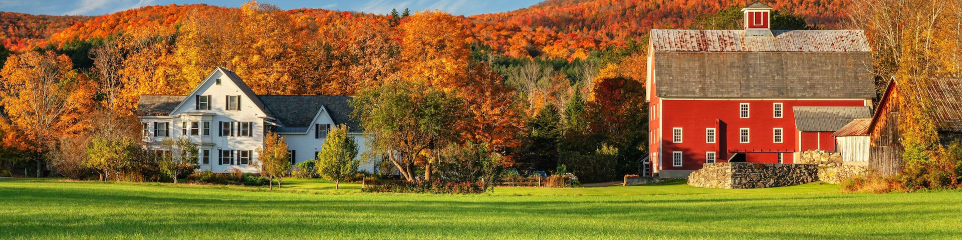 Autumn leaves on a farmhouse and barn near Woodstock Vermont