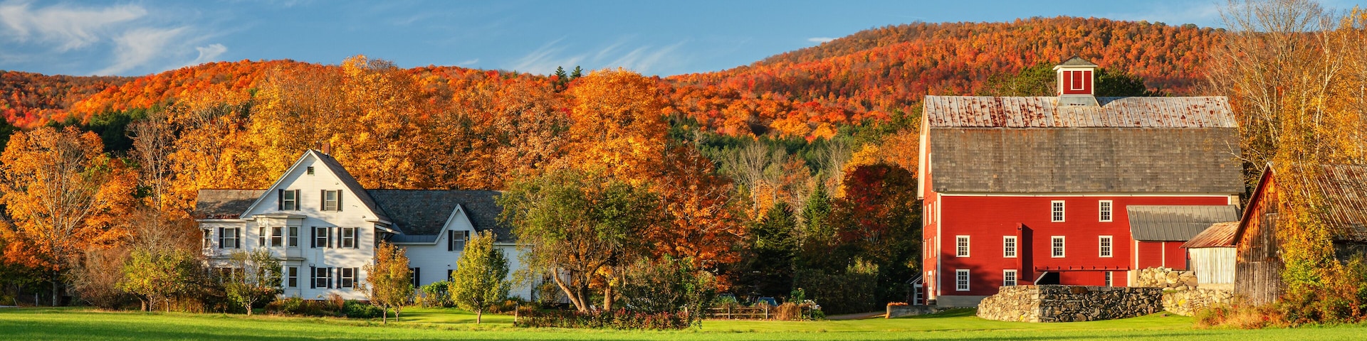 Autumn leaves on a farmhouse and barn near Woodstock Vermont
