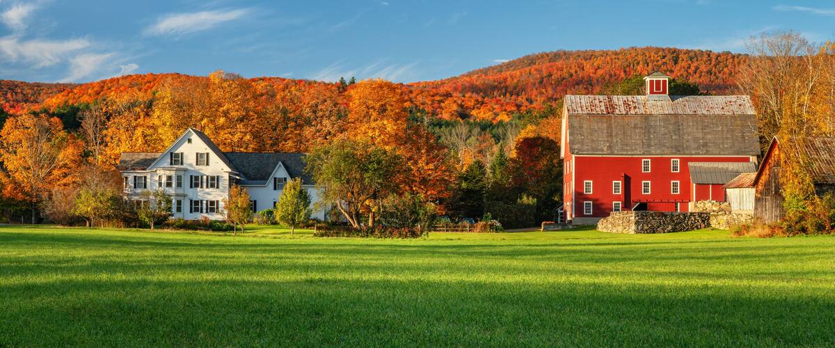 A rural landscape with a green field, a white house, and a red barn.