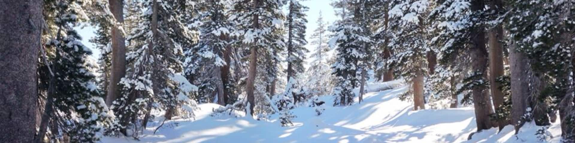 View from the tent. Wish I can wake up to this every morning! #snow