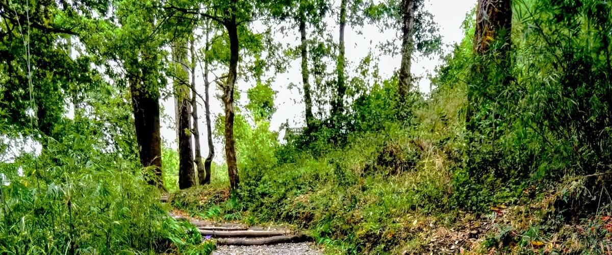 A huge park surrounded with y'all green tress! #Trovember #parks #outdoors