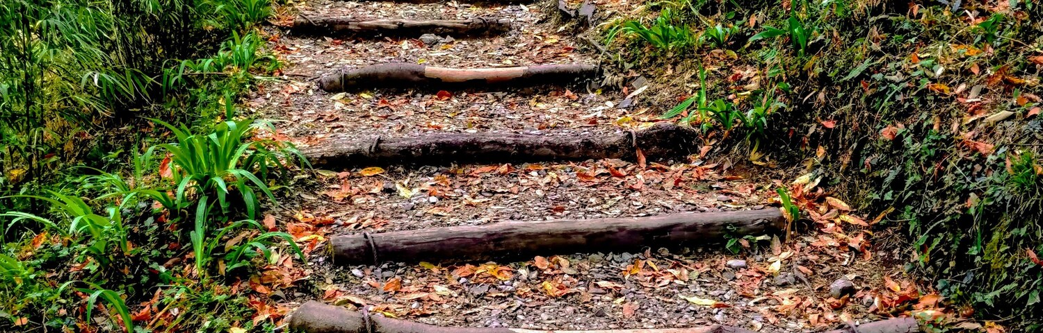 A huge park surrounded with y'all green tress! #Trovember #parks #outdoors