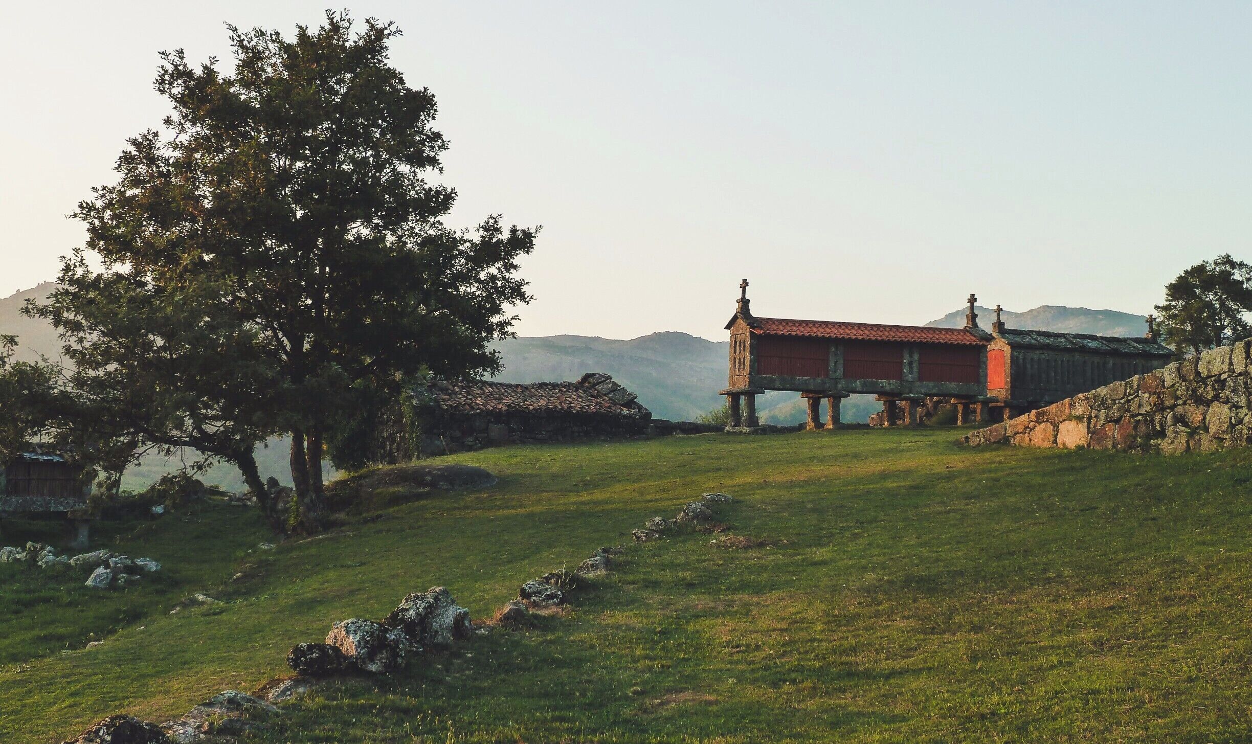 A historic building with a red roof, situated on a grassy hill with a stone wall and a large tree in the foreground.