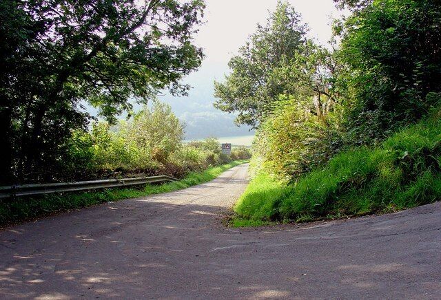 A rural road flanked by dense greenery and trees.