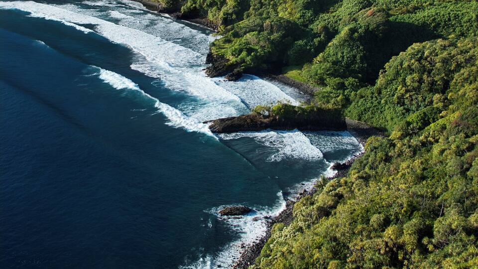 A coastal landscape with lush green hills and a clear blue ocean.