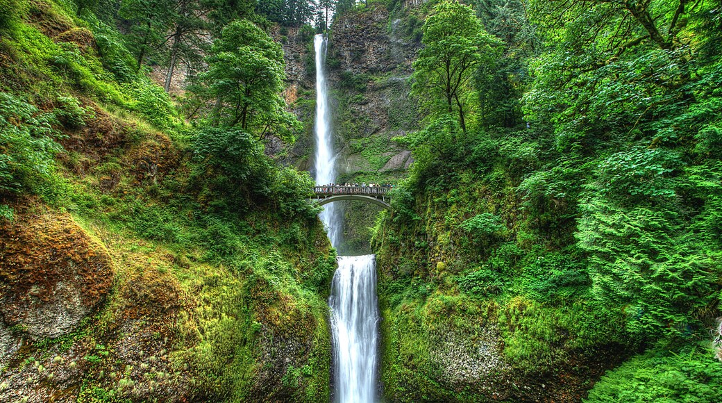 Multnomah Falls, Oregon