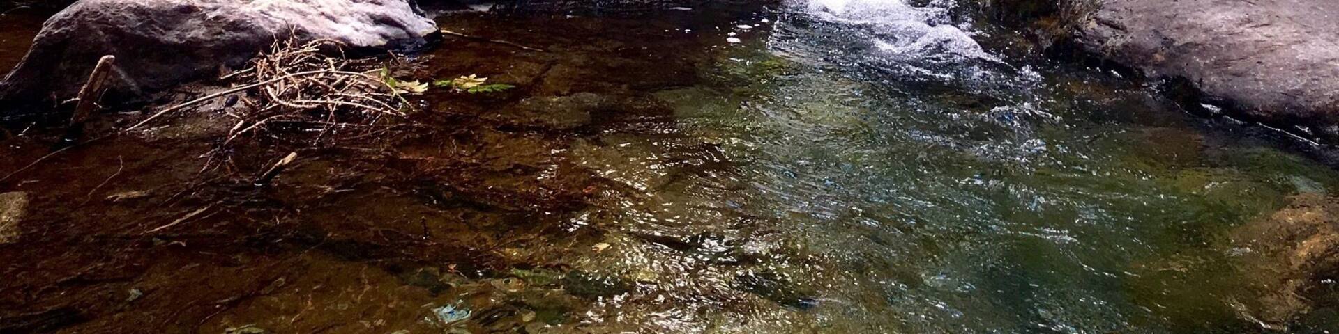 #TakeAHike #waterfall #trekking #italy #valledaosta #stream #mountains #water #alps #green