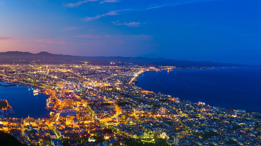 The city of Hakodate in the twilight, panorama