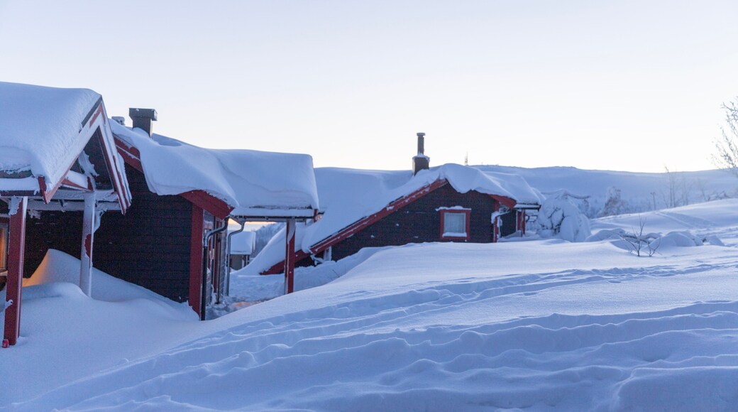 Winter landscape with snow and blue sky in Trysil municipality, Hedmark county,scandinavia
