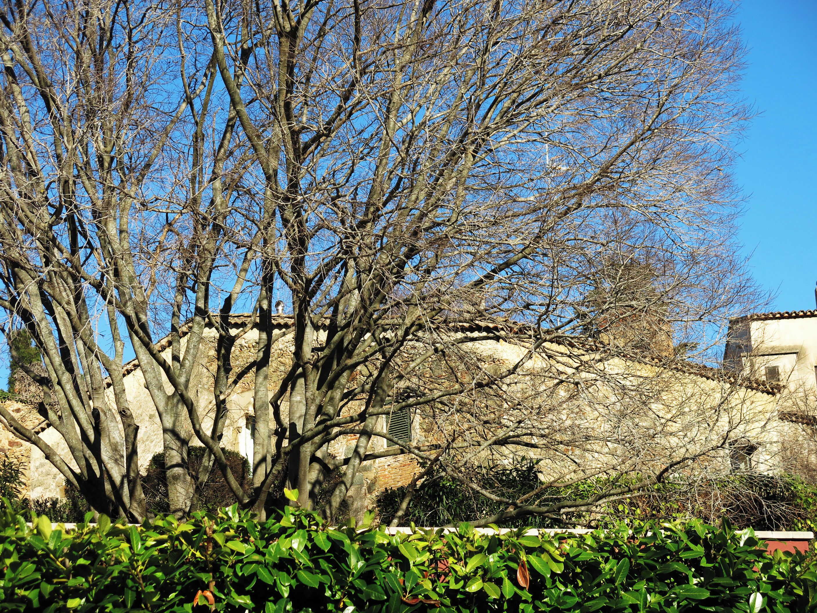 Can Pufarré (Alella)